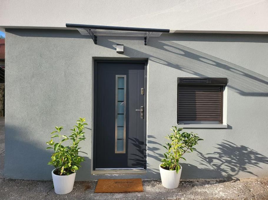 Appartement T2 Frangy المظهر الخارجي الصورة