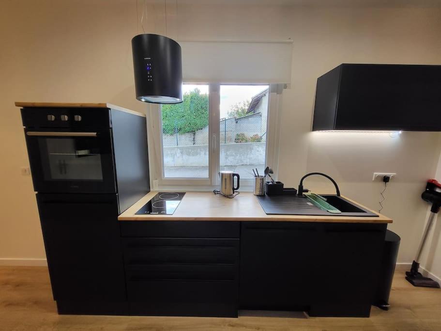 Appartement T2 Frangy المظهر الخارجي الصورة